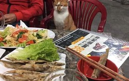 Ảnh vui 5/6: 'Hàng xóm yêu cầu hủ tíu gà bán lại để khỏi bị Cô-vít'