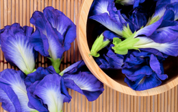 4 đối tượng nên tránh xa trà hoa đậu biếc