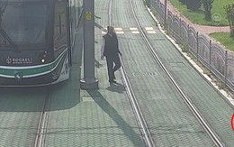 Rùa bò trên đường ray được người lái tàu dừng lại giải cứu