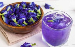 'Thời điểm vàng' uống trà đậu biếc