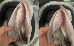 Ảnh vui 27/7: Mua mực được thêm con cá!