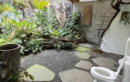 Vua Còm 16/8: Dân mạng khoe 'Toilet mùa dịch' làm ai cũng muốn có