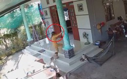 Cô gái vội đu cột nhà cầu cứu gia chủ khi bị chó rượt