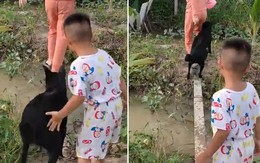 Chú chó ba chân bốn cẳng chạy qua cầu khi bị cậu chủ tét mông