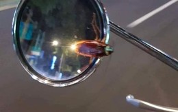 Ảnh vui 16/9: 'Bán mang về, ship tận nơi'