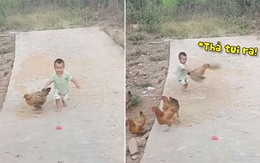 Bé trai bắt gà trong một nốt nhạc