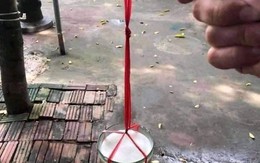 Bộ sưu tập lồng đèn Trung thu tự chế ai cũng làm được