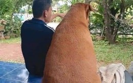 Ảnh vui 28/9: Dân mạng đòi kiện anh thợ photo vì ảnh học bạ đen xì