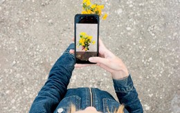 Instagram độc hại thế nào?