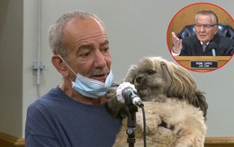 Đưa chó cưng đến tòa để nói về 'lòng trung thành và sự tha thứ'