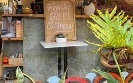 Ảnh vui 9/10: Đừng lấy cây, có camera!