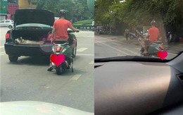 Ảnh vui 20-10: Chó Husky chẳng 'chê chủ nghèo'