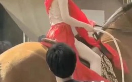 Chỉ một chi tiết, Triệu Lộ Tư lộ màn cưỡi ngựa giả