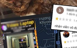 Cửa hàng nơi 'nam thanh niên thiêu sống mèo' làm việc bị chấm 1 sao