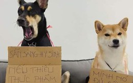 Ảnh vui 23/11: Chú chó sẵn sàng 'hi sinh' nếu chủ thiếu thực phẩm