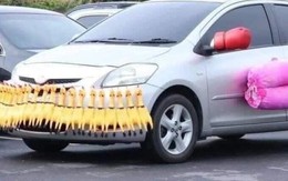 Ảnh vui 25/11: Xế hộp full phụ kiện, bao an toàn cho người tập lái