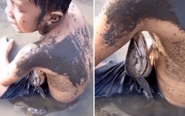 Video hài hot nhất tuần qua: Bé trai đi bắt cá bị cá bắt