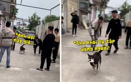 Chú chó canh me cướp quả cầu của nhóm thanh niên