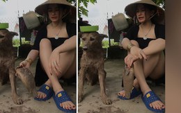 Video hài hot nhất tuần qua: Cô chủ la rầy chú chó ra đồng bắt cá