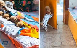 Chú chó biết đắp chăn đóng cửa cho bạn ngủ