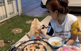 Ảnh vui 14/1: Câu lạc bộ 'Gia đình có con gái'