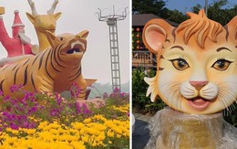 Đường đua 'Người đẹp Nhâm Dần 2022' thêm nóng với loạt thí sinh mới