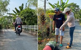 Hỏng 2 chậu hoa chưng Tết vì chạy qua con lươn