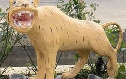 Ảnh vui 29/1: Cọp hình dưa hấu phá đảo Miss Nhâm Dần