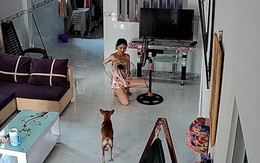 Cô gái nổi quạu vì mãi không lắp được quạt