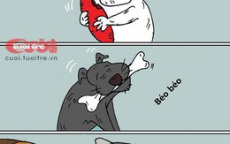 Món khoái khẩu của động vật hoang dã