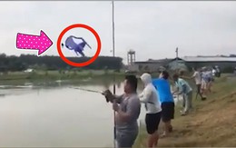 Cần thủ quăng cần vứt luôn ghế xuống ao