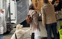 Những khoảnh khắc khó đỡ trong 'thế giới động vật' (P6)