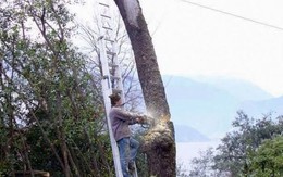 10 khoảnh khắc hài hước chứng minh 'phụ nữ sống thọ hơn đàn ông'