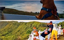 Ảnh vui 29/6: Dân mạng cười rần rần khi Cầu Gãy là... Gay Bridge!