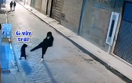 Chàng trai ngứa chân đá chó bị nghiệp quật