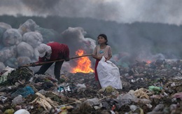 Nhiếp ảnh gia Việt thắng giải Ảnh môi trường quốc tế 2017