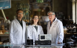 Tạo ra điện từ lòng trắng trứng