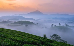 Gợi ý 3 ngày khám phá Phú Thọ dịp giỗ Tổ Hùng Vương