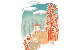 Tiền mừng tuổi của người già