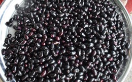 Trúng mùa, bà con Bảy Núi vui vẻ bán trâm, trường mỏi tay