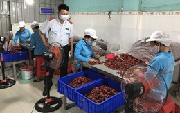 Nhiều loại ớt bột nhiễm độc tố gây ung thư gan vượt mức