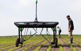 Máy diệt cỏ sử dụng trí tuệ nhân tạo giúp bảo vệ cây trồng