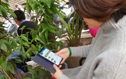 Cảnh báo những hiểm họa vô hình từ bức xạ điện từ