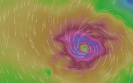 Bão số 8 có thể tan trên biển ngày 29, 30-12