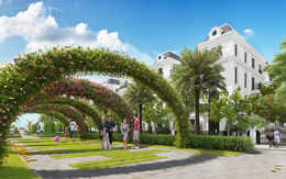 Xu hướng sống xanh giữa 'cơn bão' bê tông hóa