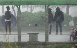 Hồn nhiên đến xấu xí nơi công cộng