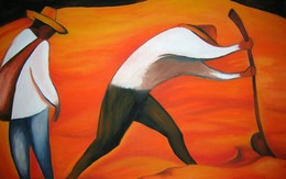 Họ cấp cho chúng tôi đất