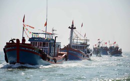 Vì sao Cảnh Sảng không nhắc 'đường 9 đoạn'?