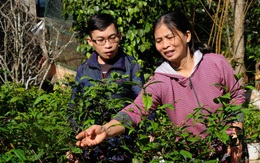 Duy và cuộc hồi sinh