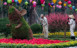 Tết Nguyên đán Canh Tý: Hà Nội chuột vàng, chuột đỏ khắp nơi